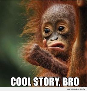 Cool-Story-Bro_o_91043